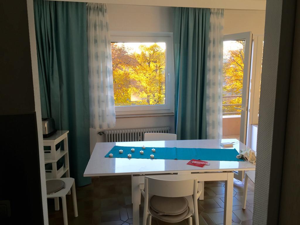 Ferienwohnung Suedpark Apartment - באד נאוהיים מראה חיצוני תמונה